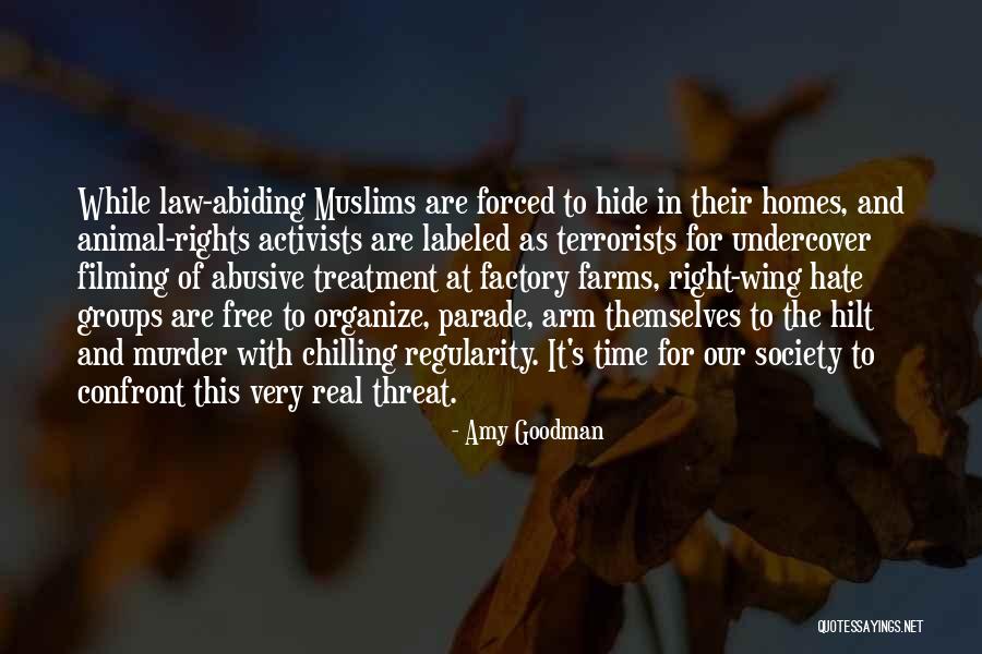 At Home Chilling Quotes By Amy Goodman