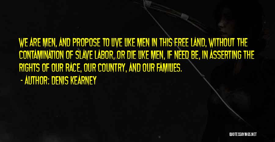 At Kearney Quotes By Denis Kearney