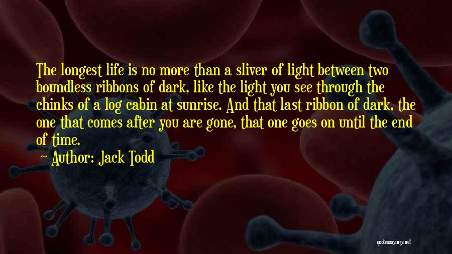 At Last I See The Light Quotes By Jack Todd