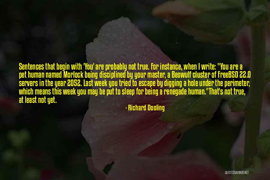 At Least I Tried Quotes By Richard Dooling At Least I Tried Quotes By Richard Dooling