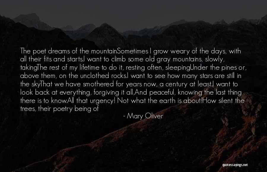 At Least Now I Know Quotes By Mary Oliver