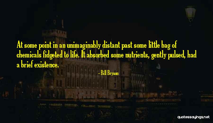 At Some Point In Life Quotes By Bill Bryson At Some Point In Life Quotes By Bill Bryson