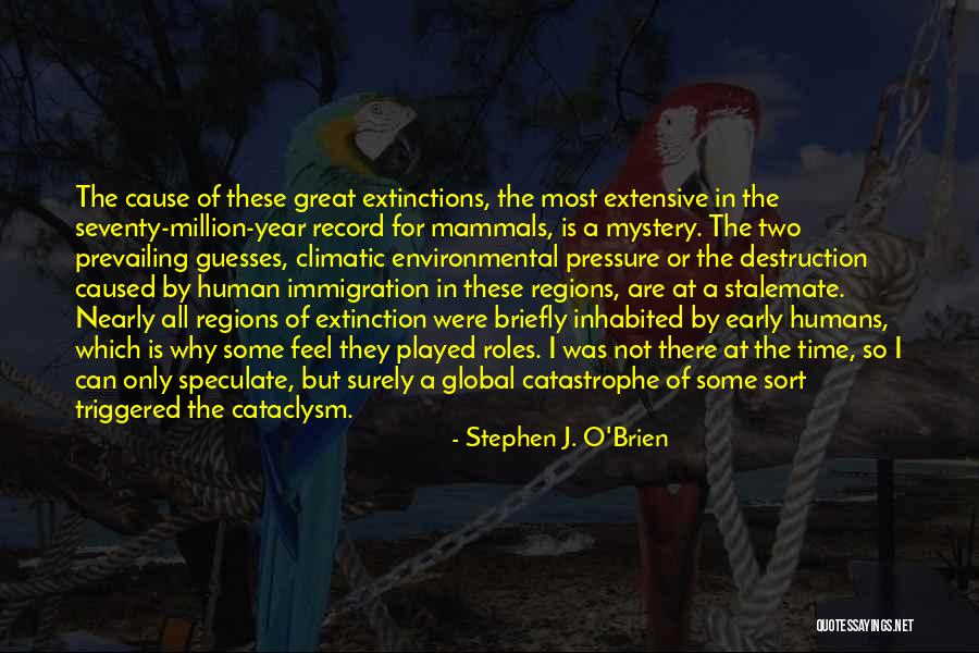 At Some Time Quotes By Stephen J. O'Brien At Some Time Quotes By Stephen J. O'Brien