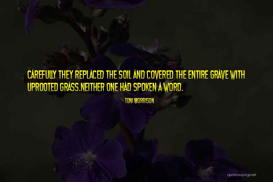 At Sula Quotes By Toni Morrison At Sula Quotes By Toni Morrison