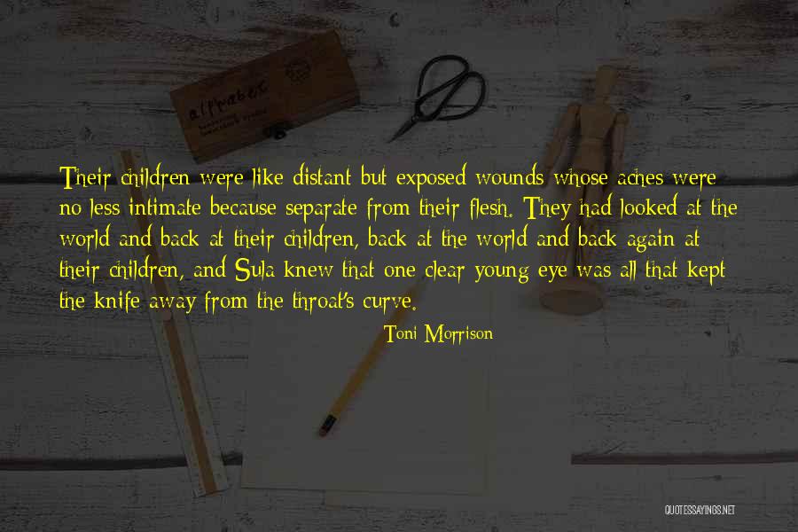At Sula Quotes By Toni Morrison At Sula Quotes By Toni Morrison