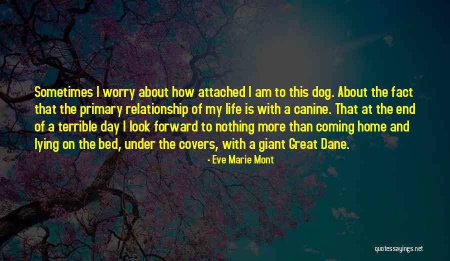 At The End Of The Day Relationship Quotes By Eve Marie Mont