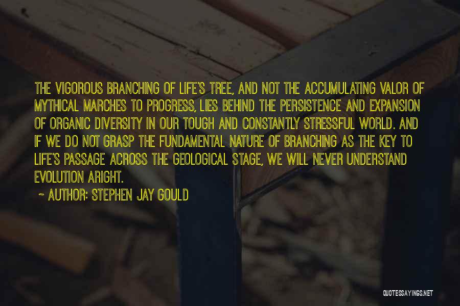 At This Stage In My Life Quotes By Stephen Jay Gould