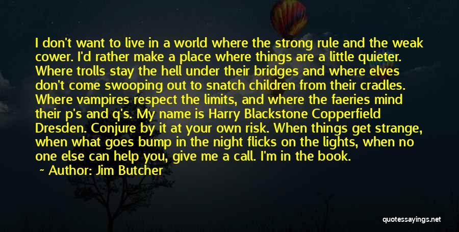At Your Own Risk Quotes By Jim Butcher
