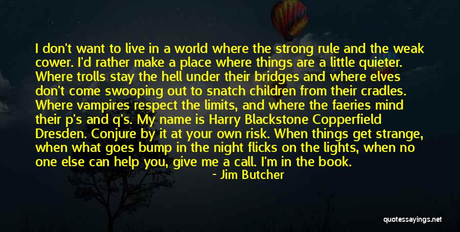 At Your Own Risk Quotes By Jim Butcher