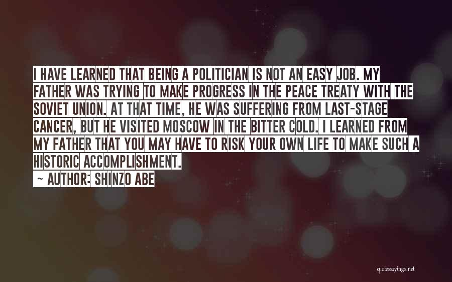 At Your Own Risk Quotes By Shinzo Abe