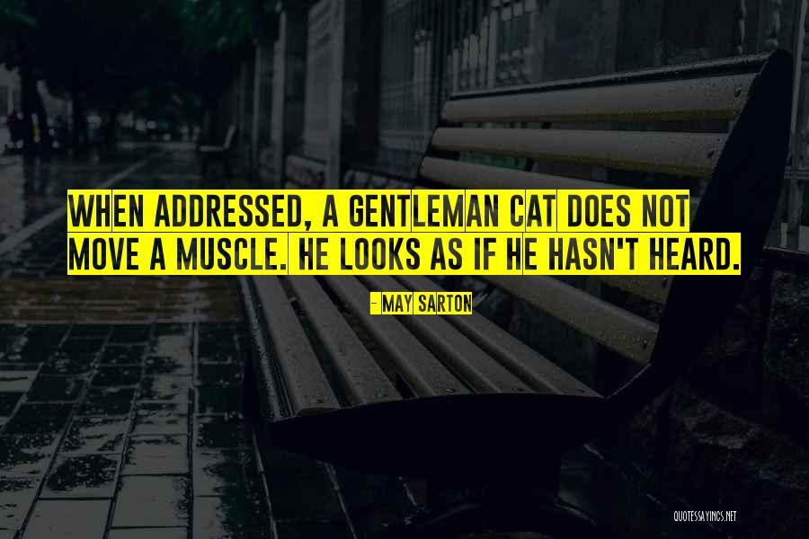 Atacs Combat Quotes By May Sarton Atacs Combat Quotes By May Sarton