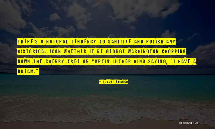 Atajos De Teclado Quotes By Taylor Branch Atajos De Teclado Quotes By Taylor Branch