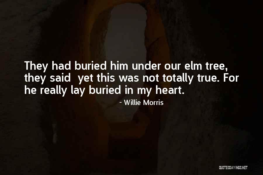 Atakan Isiktutan Quotes By Willie Morris Atakan Isiktutan Quotes By Willie Morris