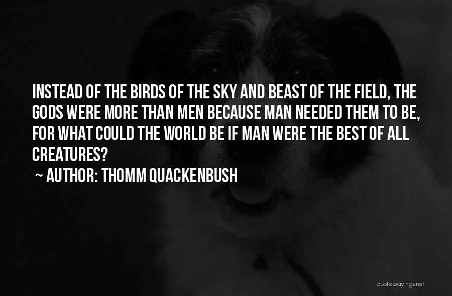 Atardeceres Quotes By Thomm Quackenbush