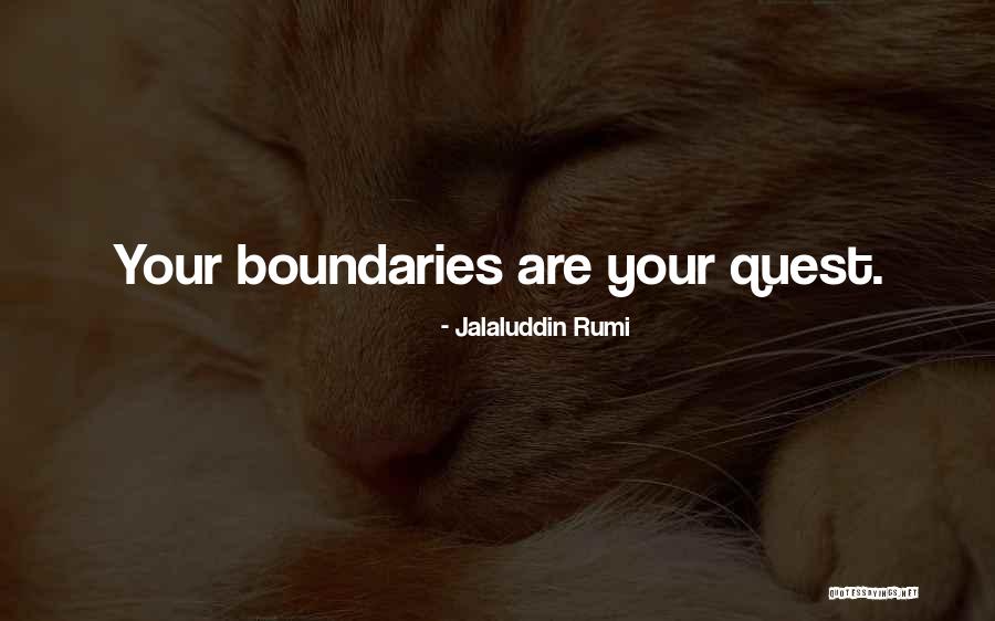 Ateneo De Manila University Quotes By Jalaluddin Rumi