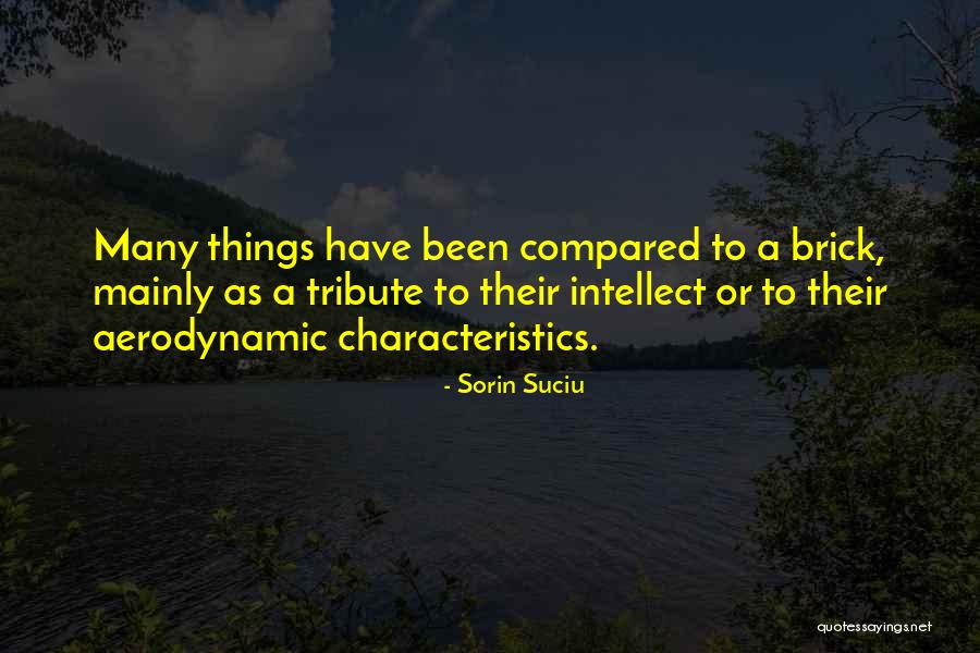 Atentar Significado Quotes By Sorin Suciu Atentar Significado Quotes By Sorin Suciu