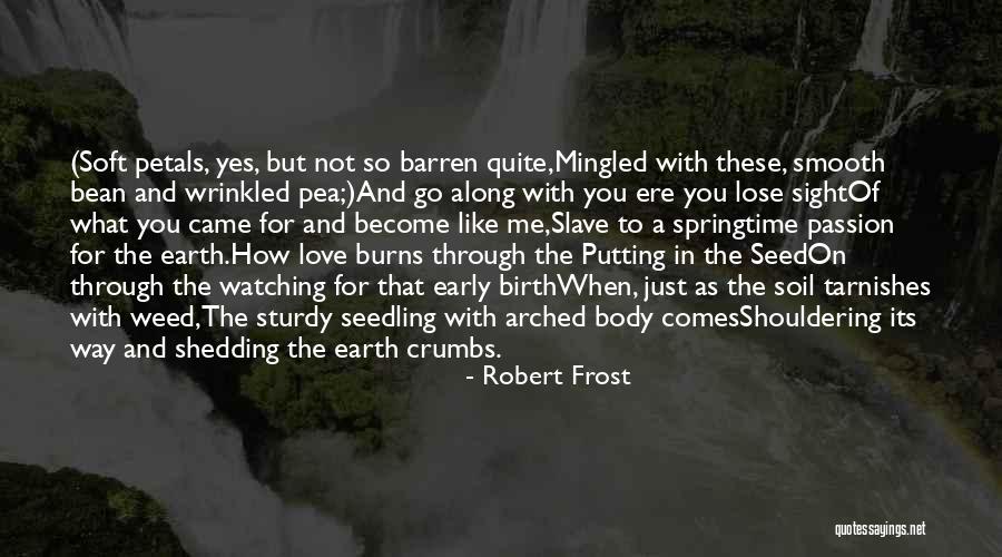 Atesora Significado Quotes By Robert Frost Atesora Significado Quotes By Robert Frost