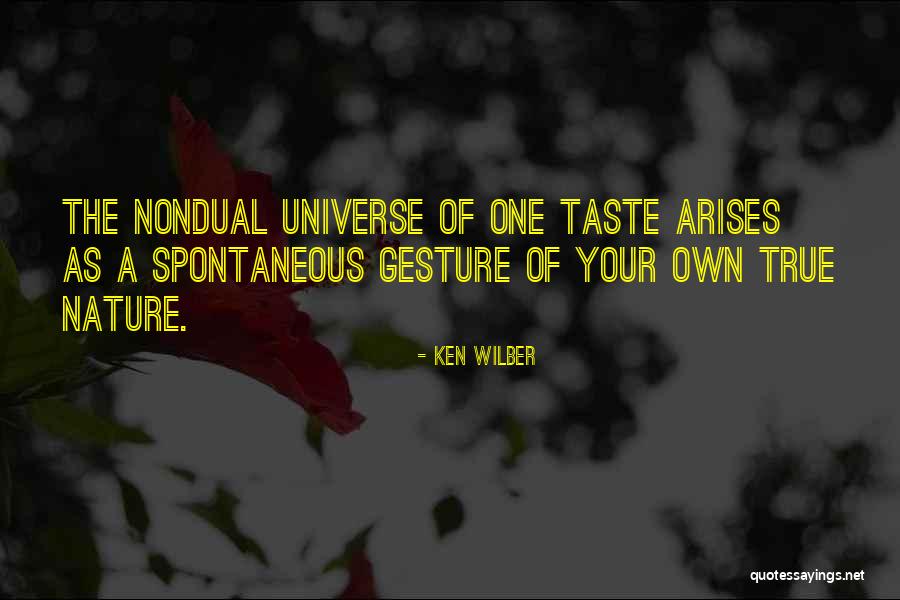 Atestado Medico Quotes By Ken Wilber Atestado Medico Quotes By Ken Wilber