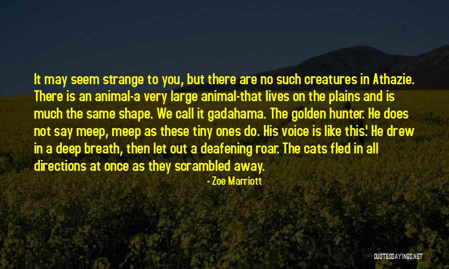 Athazie Quotes By Zoe Marriott Athazie Quotes By Zoe Marriott