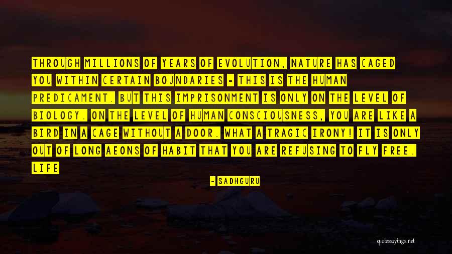 Athena Calderone Quotes By Sadhguru Athena Calderone Quotes By Sadhguru