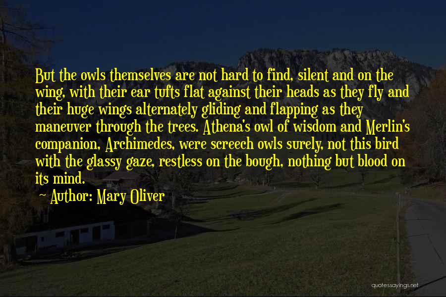 Athena's Wisdom Quotes By Mary Oliver