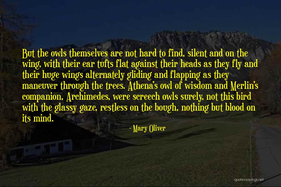 Athena's Wisdom Quotes By Mary Oliver Athena's Wisdom Quotes By Mary Oliver
