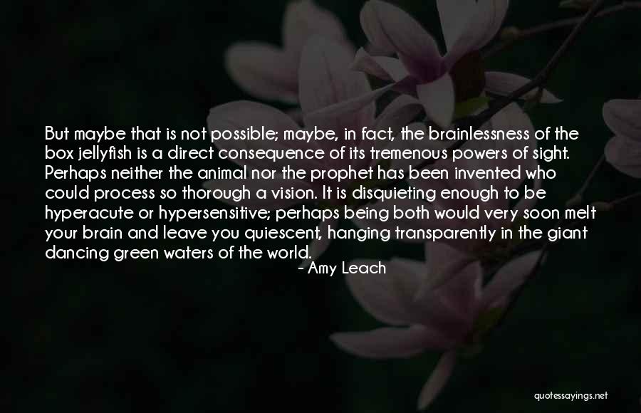 Athenian Plague Quotes By Amy Leach Athenian Plague Quotes By Amy Leach