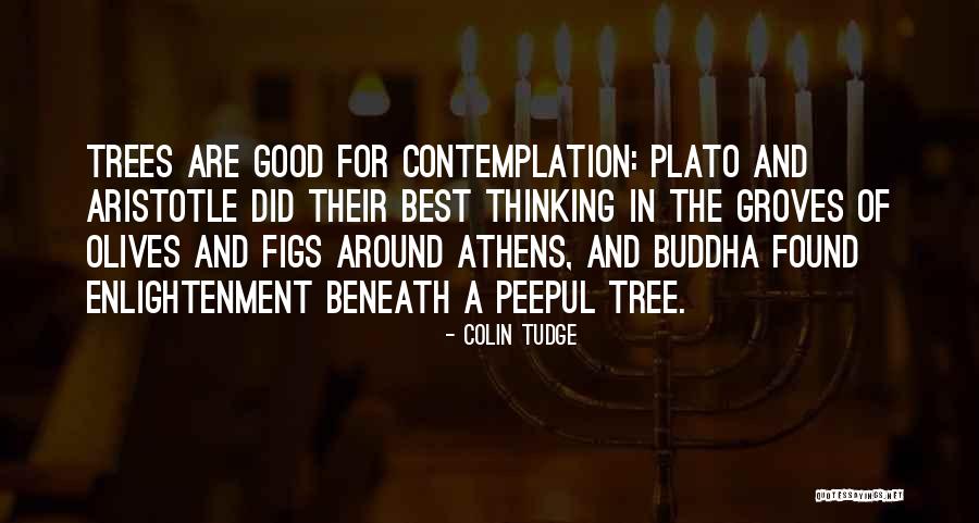 Athens Best Quotes By Colin Tudge Athens Best Quotes By Colin Tudge