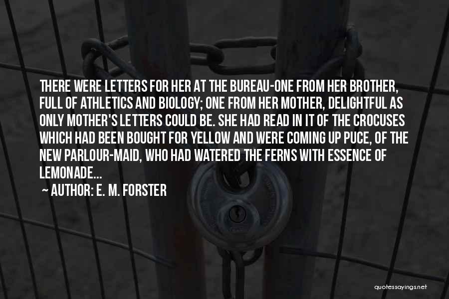 Athletics Quotes By E. M. Forster