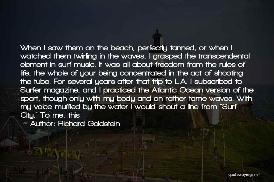 Atlantic City Quotes By Richard Goldstein