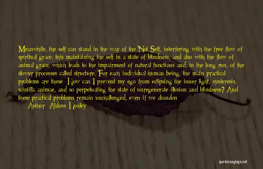 Atman Quotes By Aldous Huxley