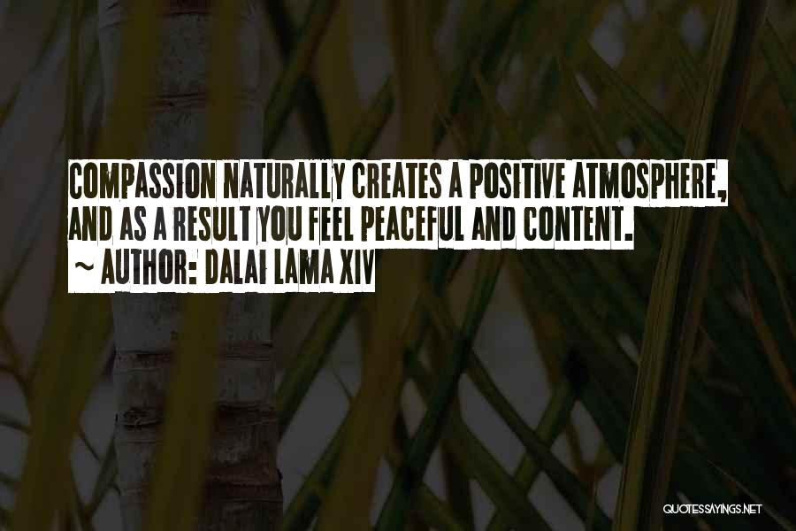 Atmosphere Quotes By Dalai Lama XIV