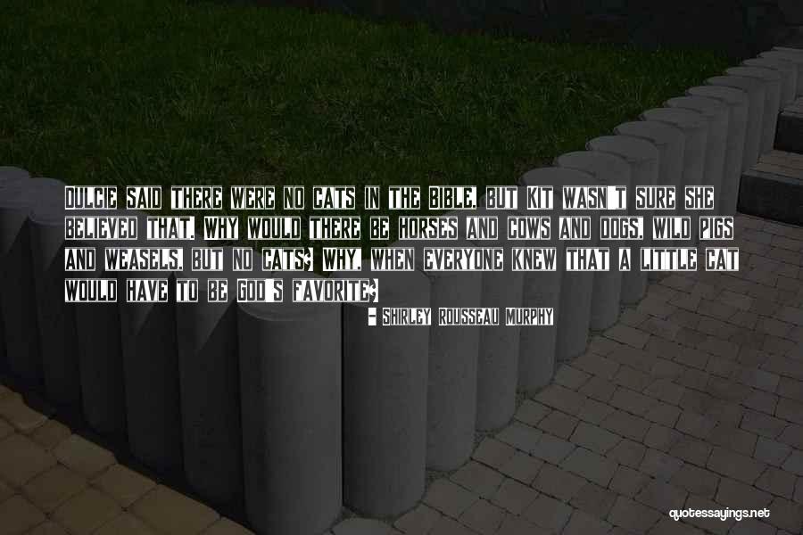 Atocha Ship Quotes By Shirley Rousseau Murphy Atocha Ship Quotes By Shirley Rousseau Murphy