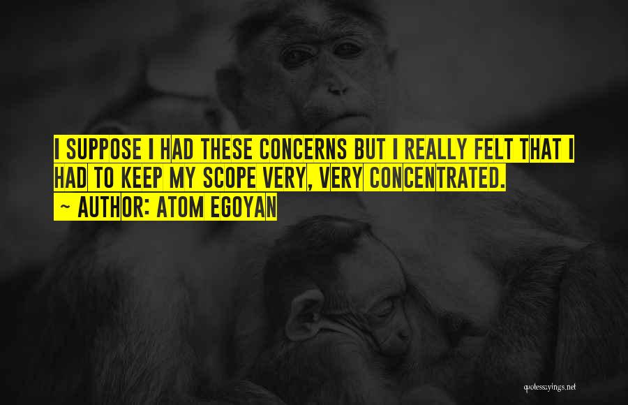 Atom Egoyan Quotes 1831419