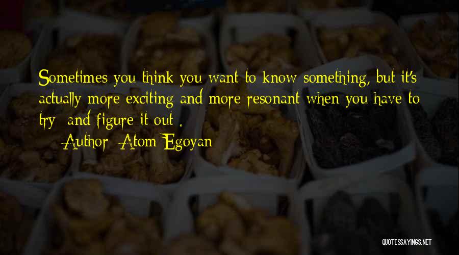 Atom Egoyan Quotes 903139