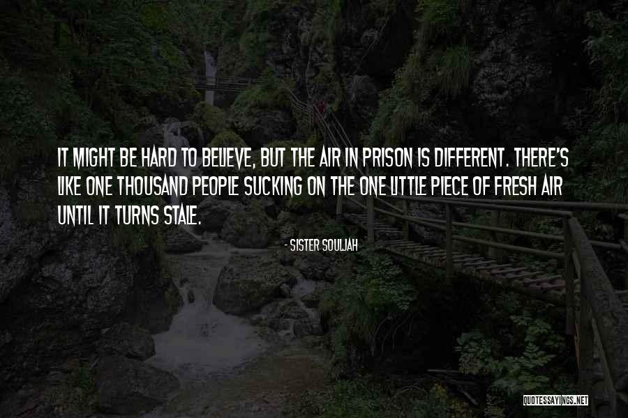 Atomists Philosophy Quotes By Sister Souljah Atomists Philosophy Quotes By Sister Souljah