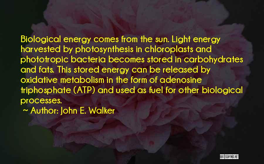 Atp-cp Quotes By John E. Walker