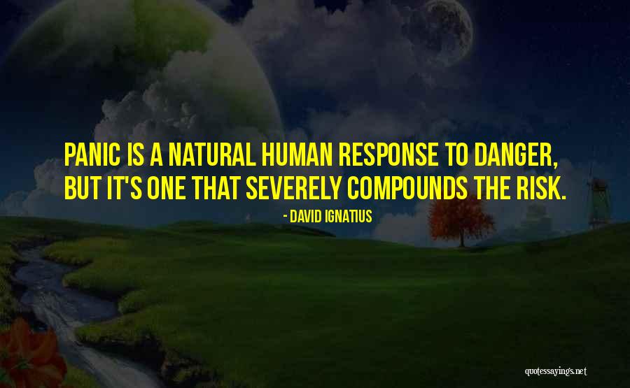 Atradius Dutch Quotes By David Ignatius Atradius Dutch Quotes By David Ignatius