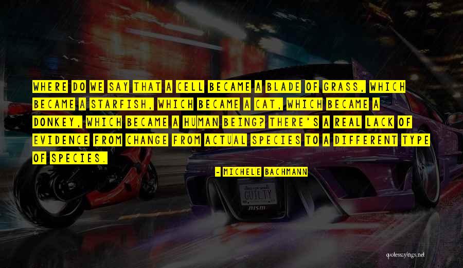 Atravesar Sinonimos Quotes By Michele Bachmann Atravesar Sinonimos Quotes By Michele Bachmann