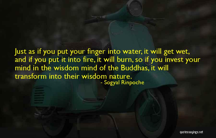 Atro Quotes By Sogyal Rinpoche Atro Quotes By Sogyal Rinpoche