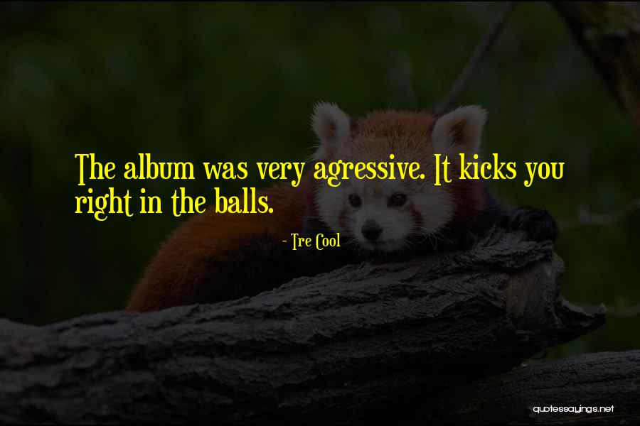 Atsiduoti Laiko Quotes By Tre Cool