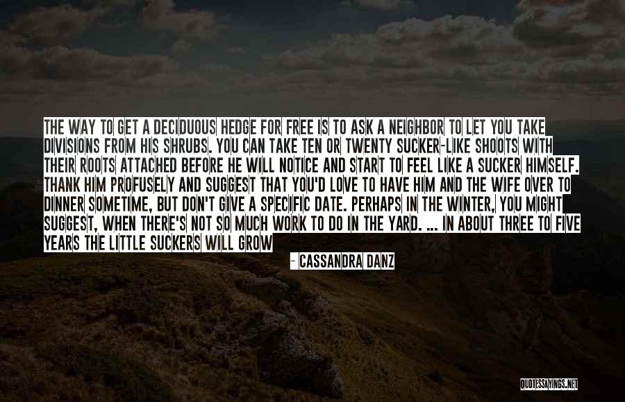 Attached To Him Quotes By Cassandra Danz