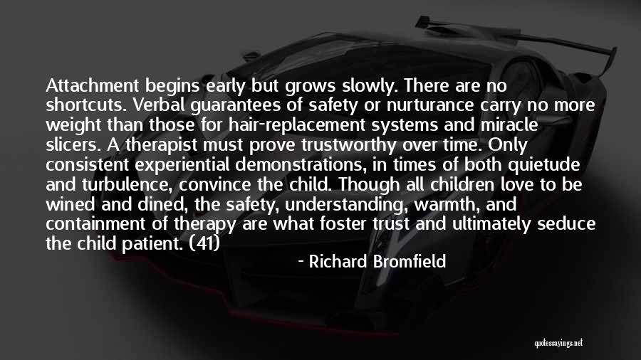 Attachment And Love Quotes By Richard Bromfield