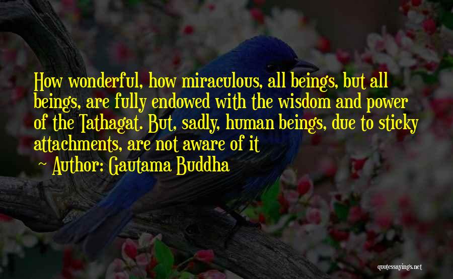 Attachments Quotes By Gautama Buddha