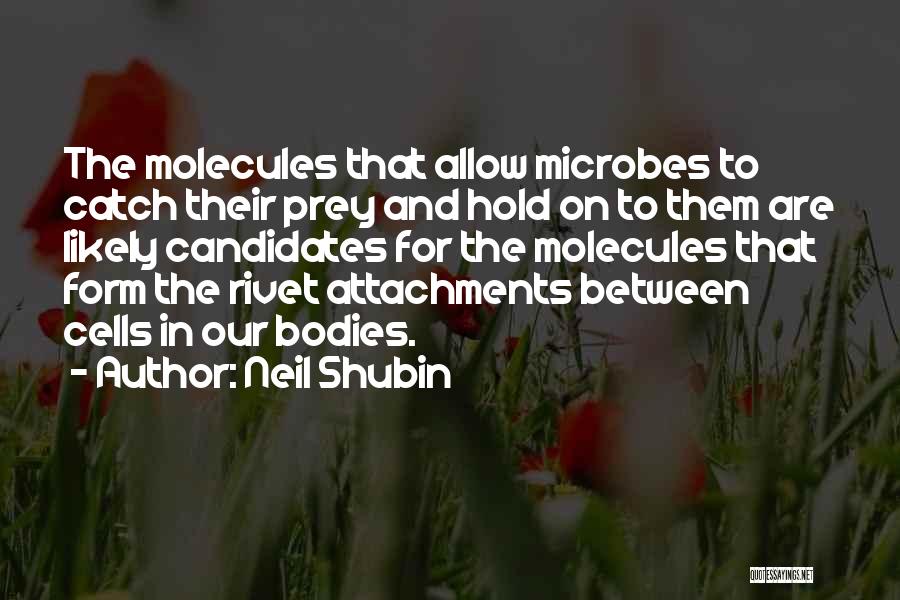 Attachments Quotes By Neil Shubin