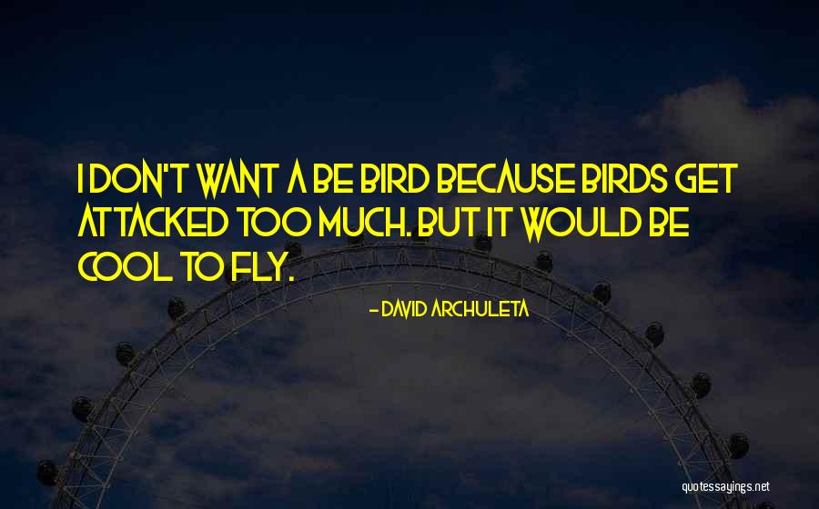 Attacked Quotes By David Archuleta Attacked Quotes By David Archuleta
