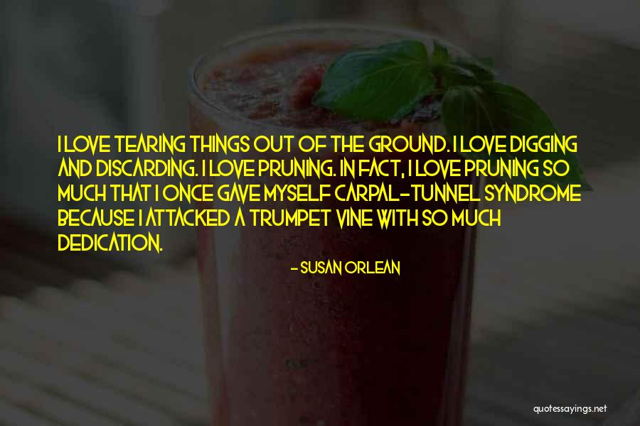 Attacked Quotes By Susan Orlean Attacked Quotes By Susan Orlean