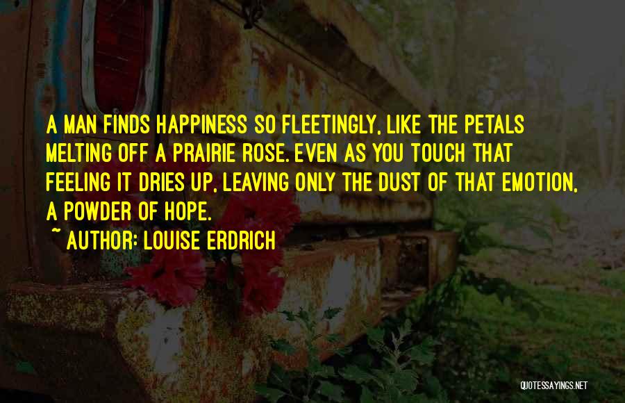 Attacking My Character Quotes By Louise Erdrich