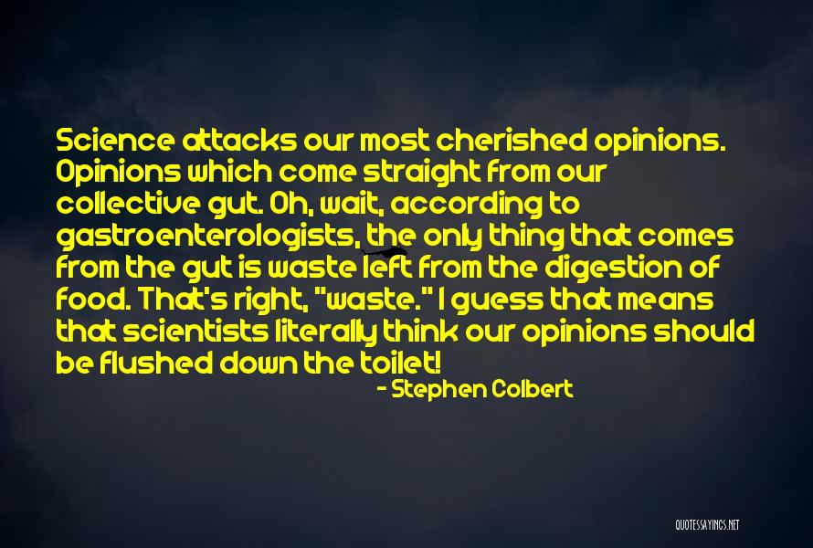 Attacks Quotes By Stephen Colbert