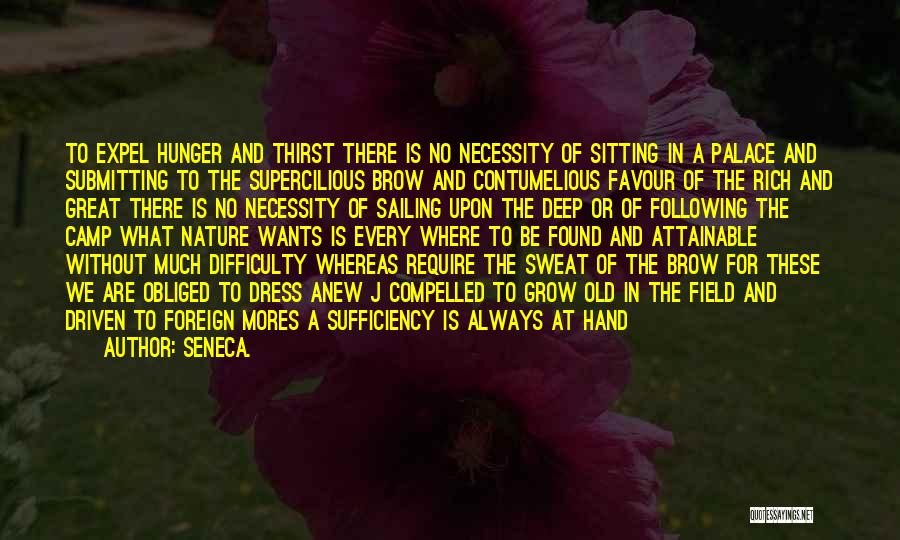 Attainable Quotes By Seneca.